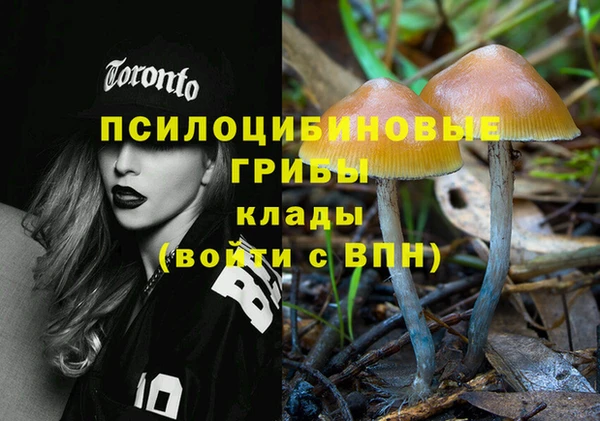 бутират Алексеевка