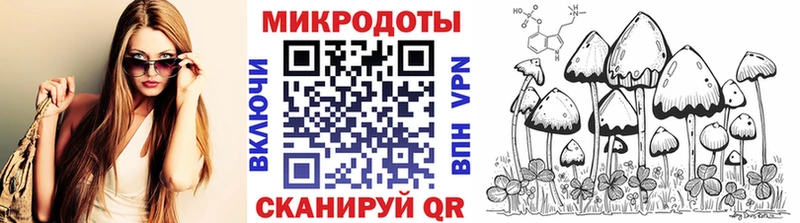 Псилоцибиновые грибы Cubensis  дарк нет состав  Цимлянск  мега как войти 
